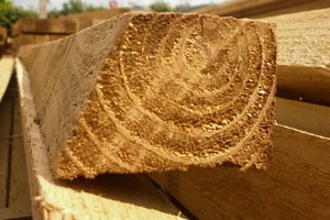 Cant rails are wooden with a bevelled top surface to allow water dispersal. The bevelled top aids the longevity of the rail by reducing moisture saturation which is preceded by rotting.    