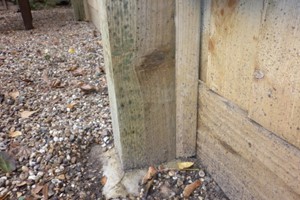 A gravel board should not be fixed in to a wooden post within the wetting area of the post which is 100mm above ground. The best method is to fix a longer length which is fixed to the post below the fence rail with the fixing points being 150mm or higher from the ground level. Ensure this section is soaked in a good preservative to reduce rotting