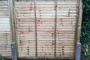 Ultimate fence post repair is levelled up & safely braced. Remove & treat rot to reduce decay spreading. Concrete a spur 600mm deep in a hole in front of the wood post & securely coach bolt together