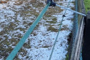 Horse fencing is often slightly charged electric fencing which is either attached offset to wooden fencing or on stake posts which can be moved to control grazing patterns of the horse  