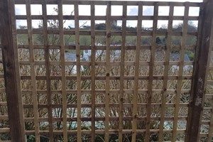 Trellis panels are a series of equally spaced narrow wooden rails set with half laid vertically and the other half laid horizontally and nailed together at the crossing over points.