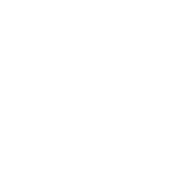 dog friendly