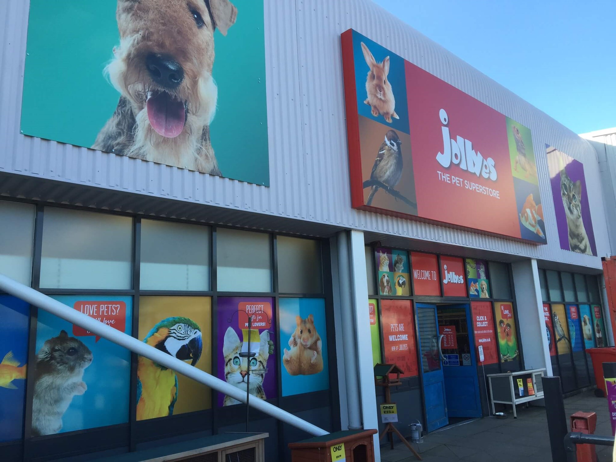 Jollyes Window Graphic