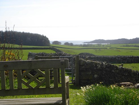 Activities in the Village Hall, ukelele
