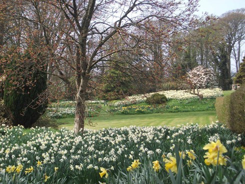 Tapestry Activities, brilliant art