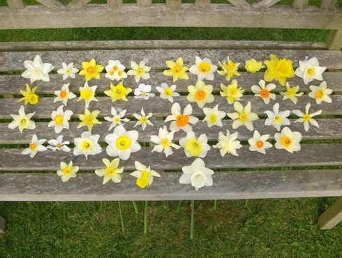 Team and Resident image, smiling