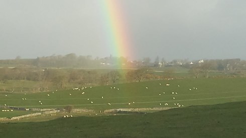 Residents Enjoying Juice and Food Outside