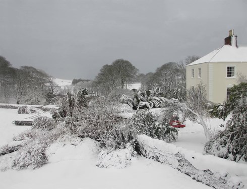 Christmas Lunch at Senwick House