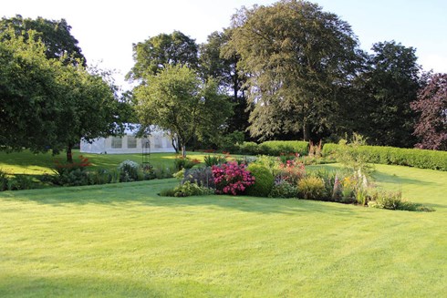 Residents outside with dog, sunny weather and dog
