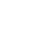Twitter Icon