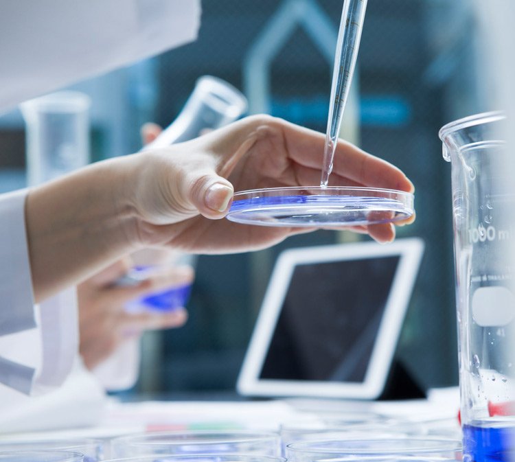 scientist testing using petri dish