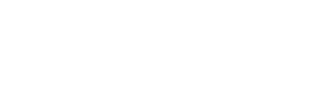 parsity group logo