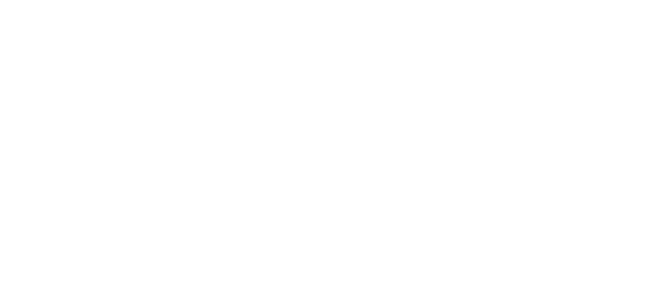 DCD Group | Website Link | White Graphic Logo