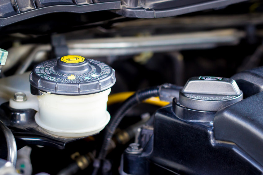 steering fluid check