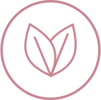 nutrition icon