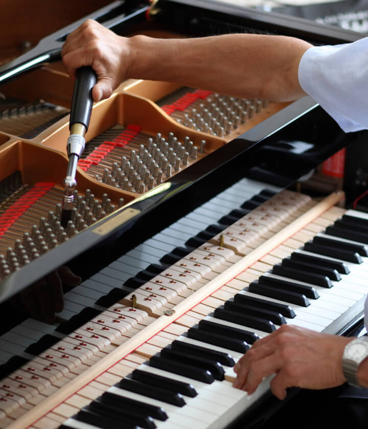 piano tuning trimmed
