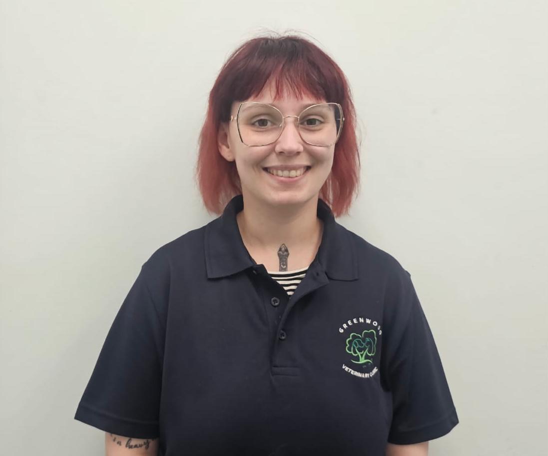 ana afonso ultrasonograher