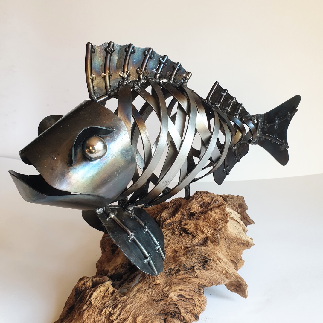 metamorphosis artist showcase