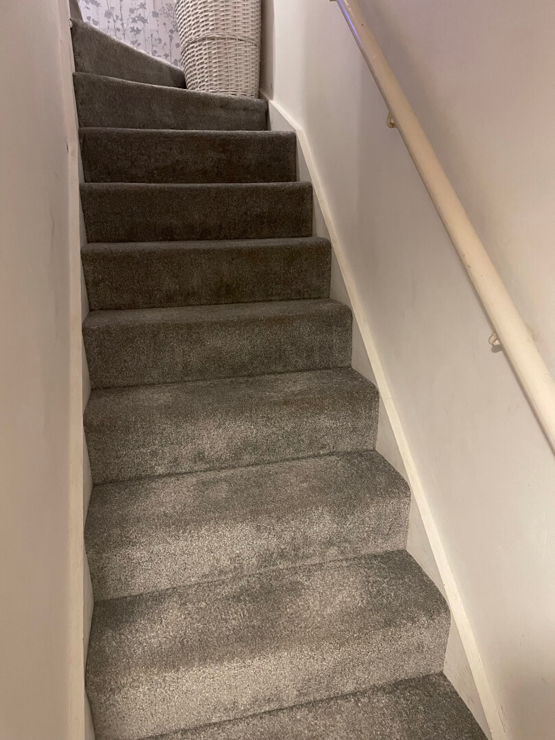 carpeted stairs