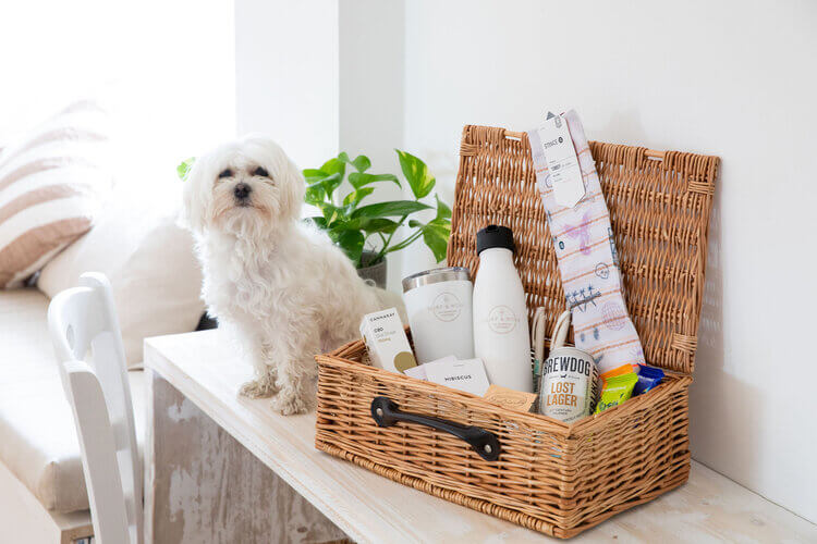 welcome hamper and dog