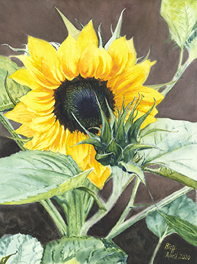 Sunflowers no1 01