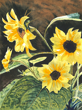 Sunflowers no3 01