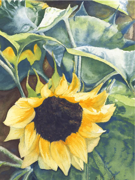Sunflowers triptych 04