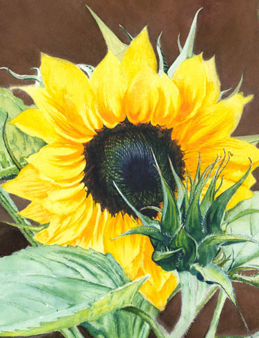 Sunflowers triptych 05