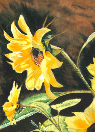 Sunflowers triptych 06