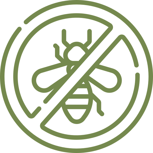 insect icon