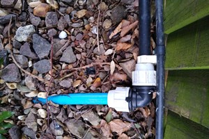 irrigation
