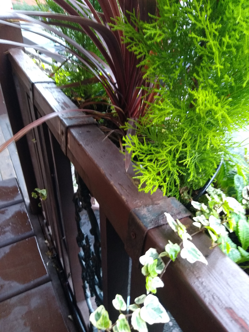 Chichester basket irrigation supply