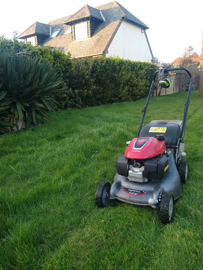 first mowing of the year