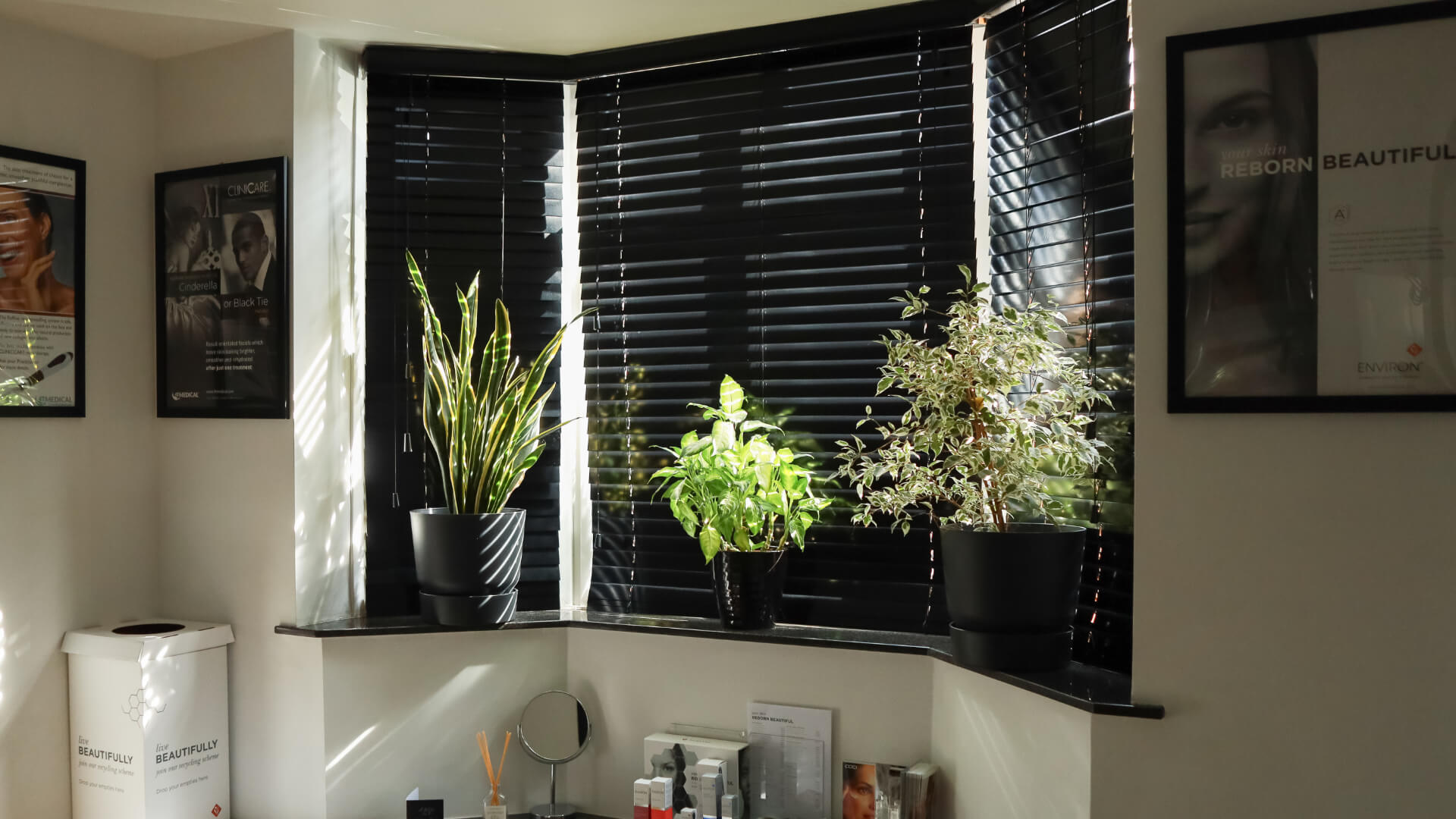 chichester beauty office header