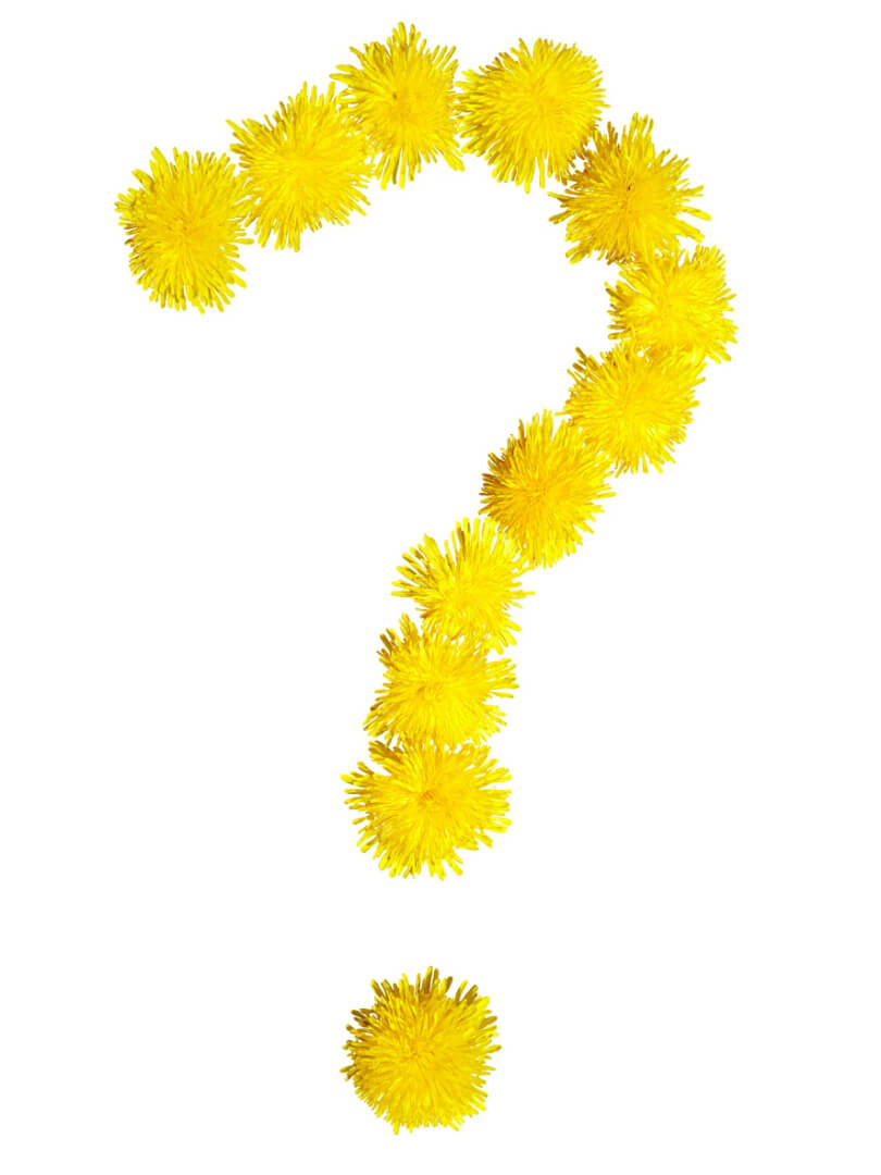 Flowers question mark