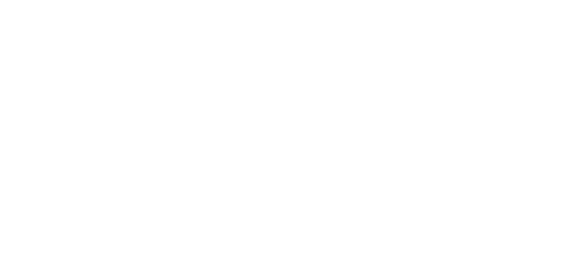 national theatre of scotland logo