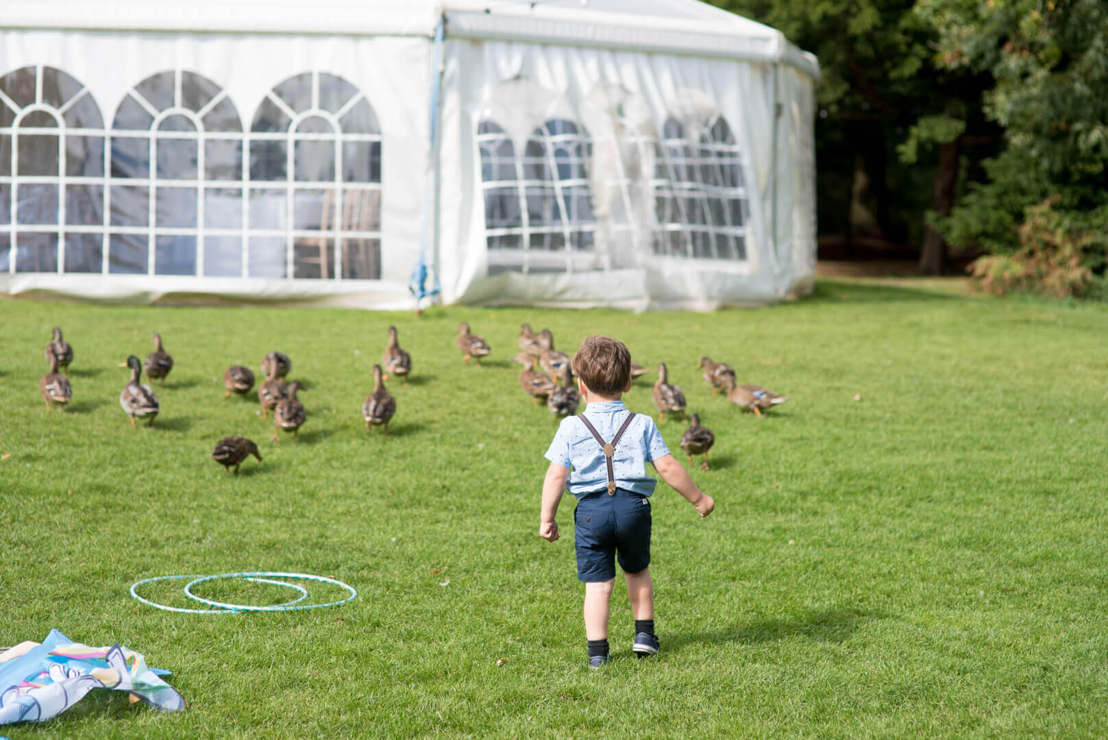 child following ducks