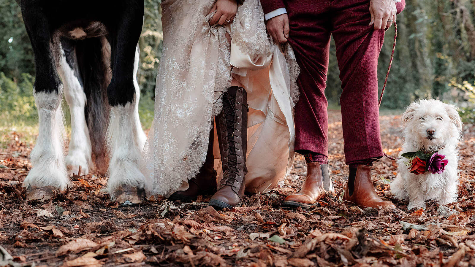horse bride groom dog