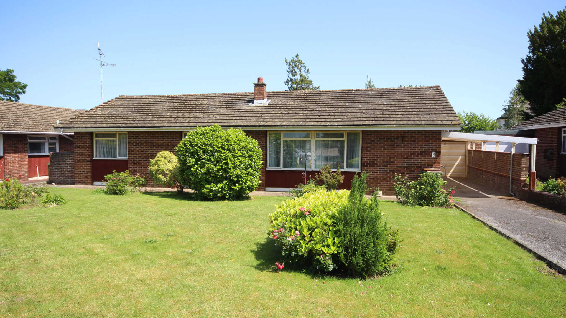 garden and driveway