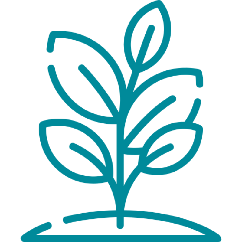 Biodiversity nature recovery