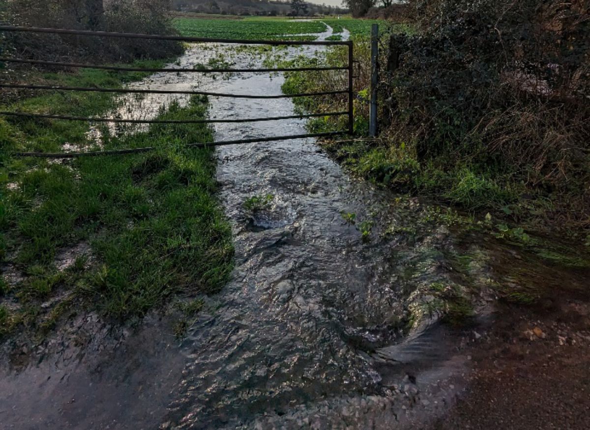 Lavant stream1