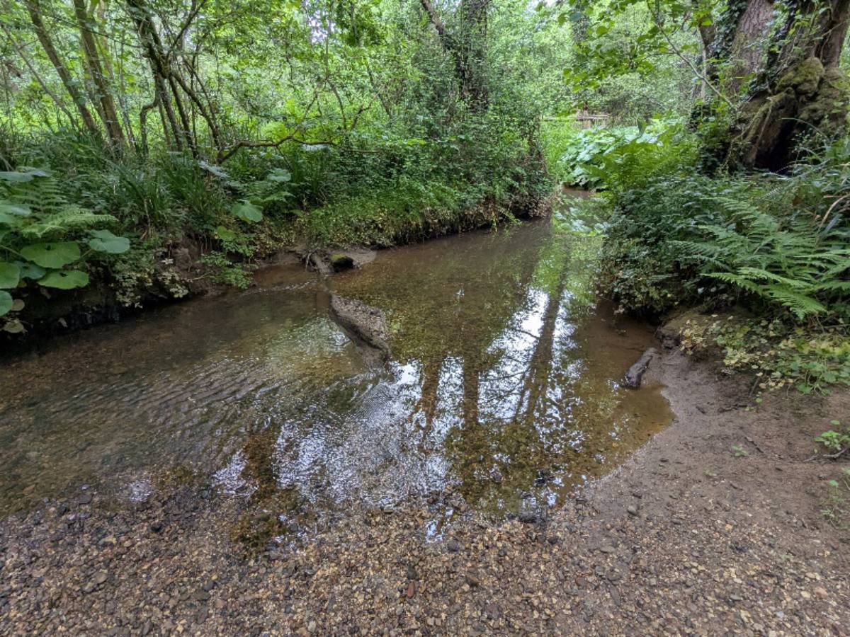 River hamble2
