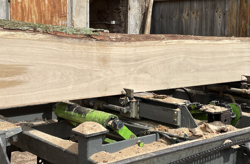 Sawn mill oak beam cutting
