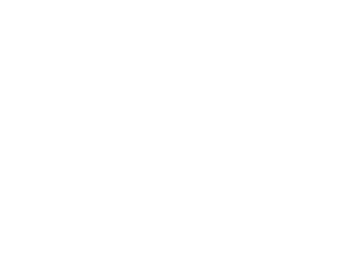 Salvo Code logo