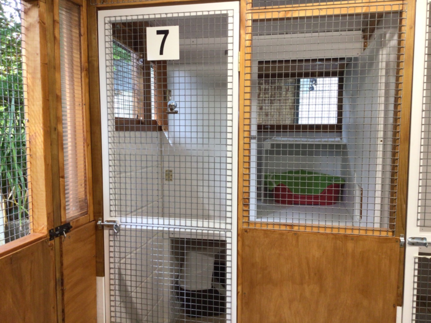 image of back garden