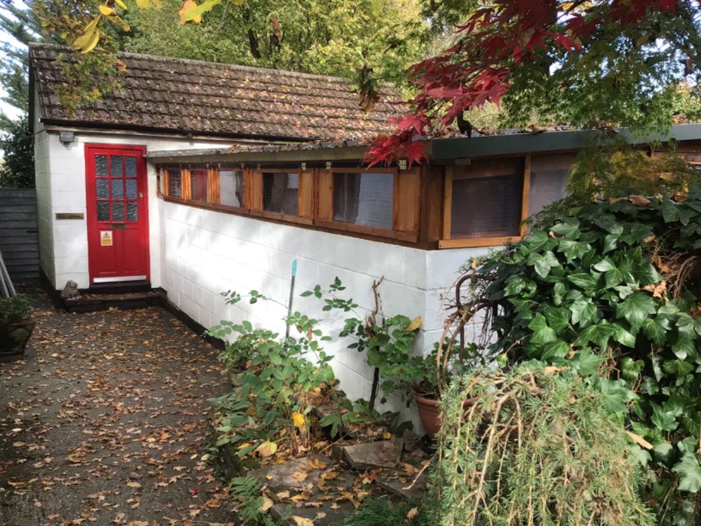 another image of garden