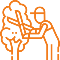 hedge trimming icon