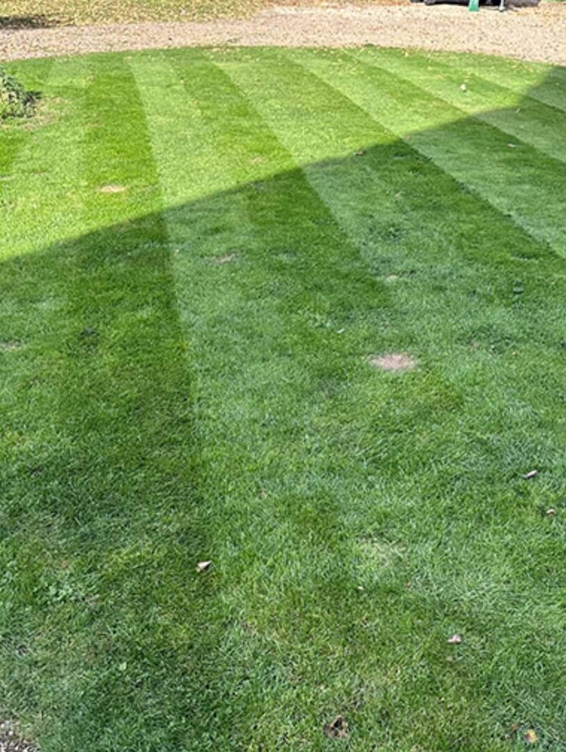 lawn care