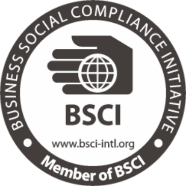 Bsci logo