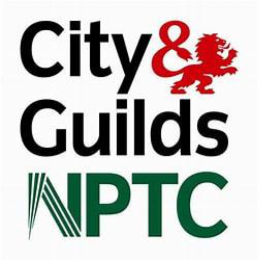 City and guilds logo